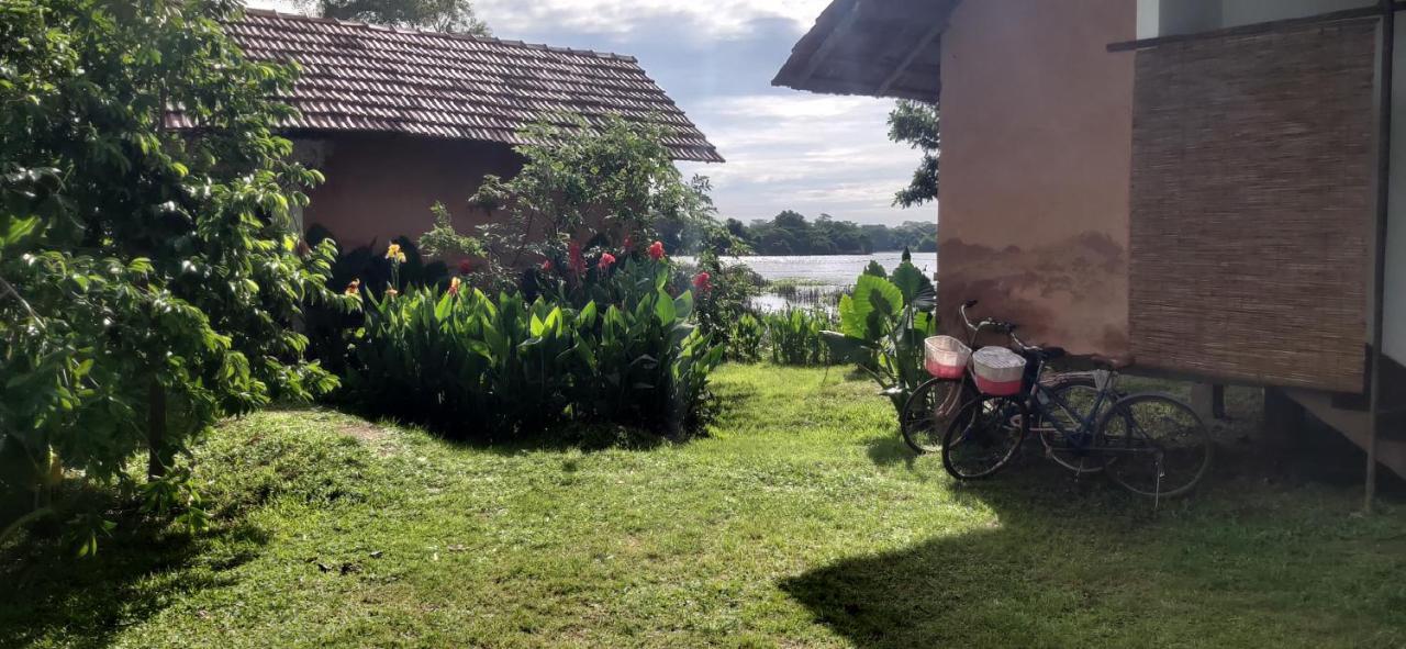 Lake Cabin Polonnaruwa Eksteriør billede