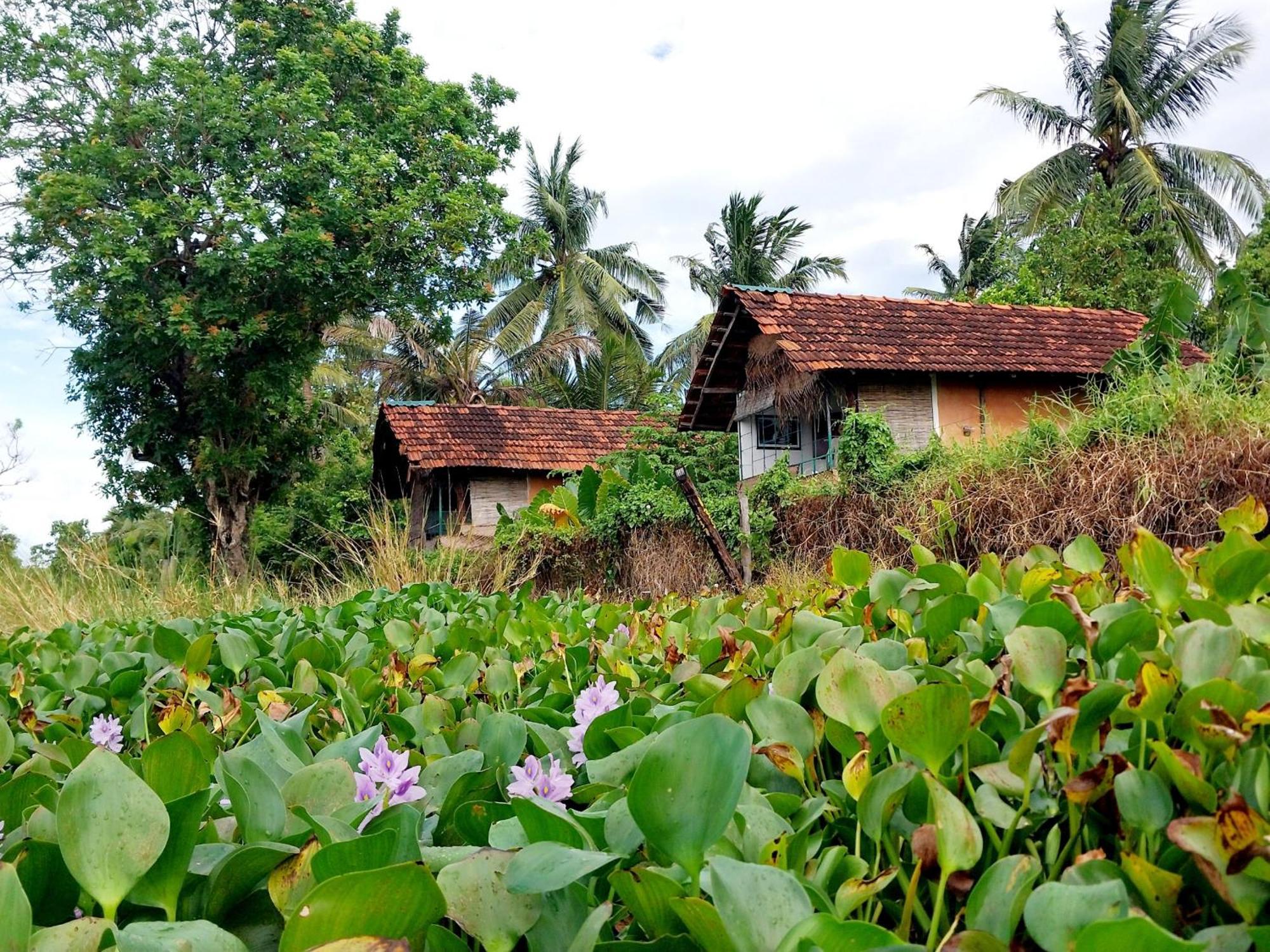 Lake Cabin Polonnaruwa Eksteriør billede